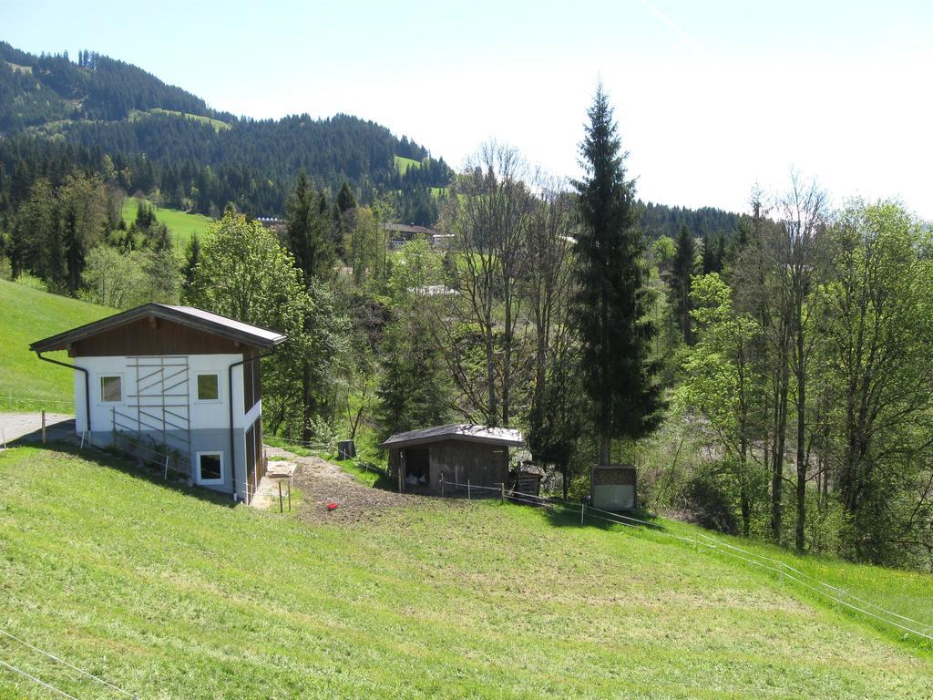 Haus Steinlechner Hotel Westendorf Quarto foto